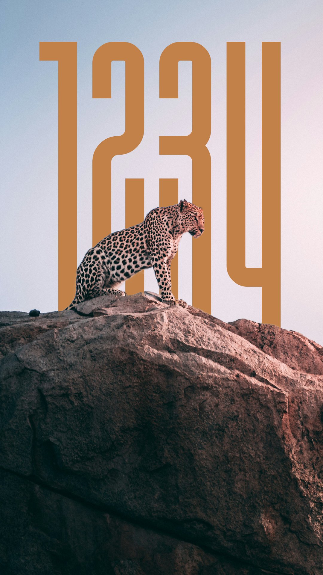 افضل تطبيق خلفيات احترافية screenshot 2